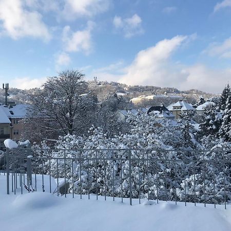 Stadtoase Mit Traumhaftem Ausblick リンツ エクステリア 写真