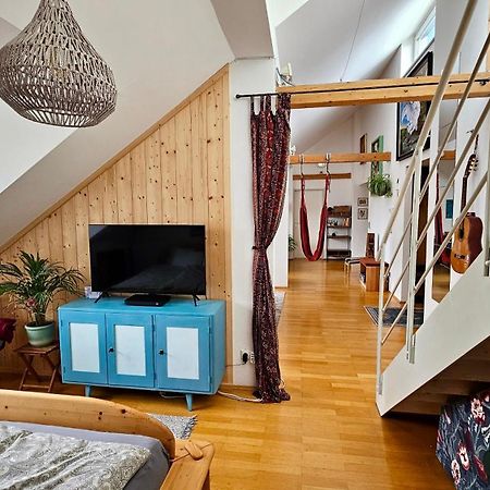 Stadtoase Mit Traumhaftem Ausblick リンツ エクステリア 写真