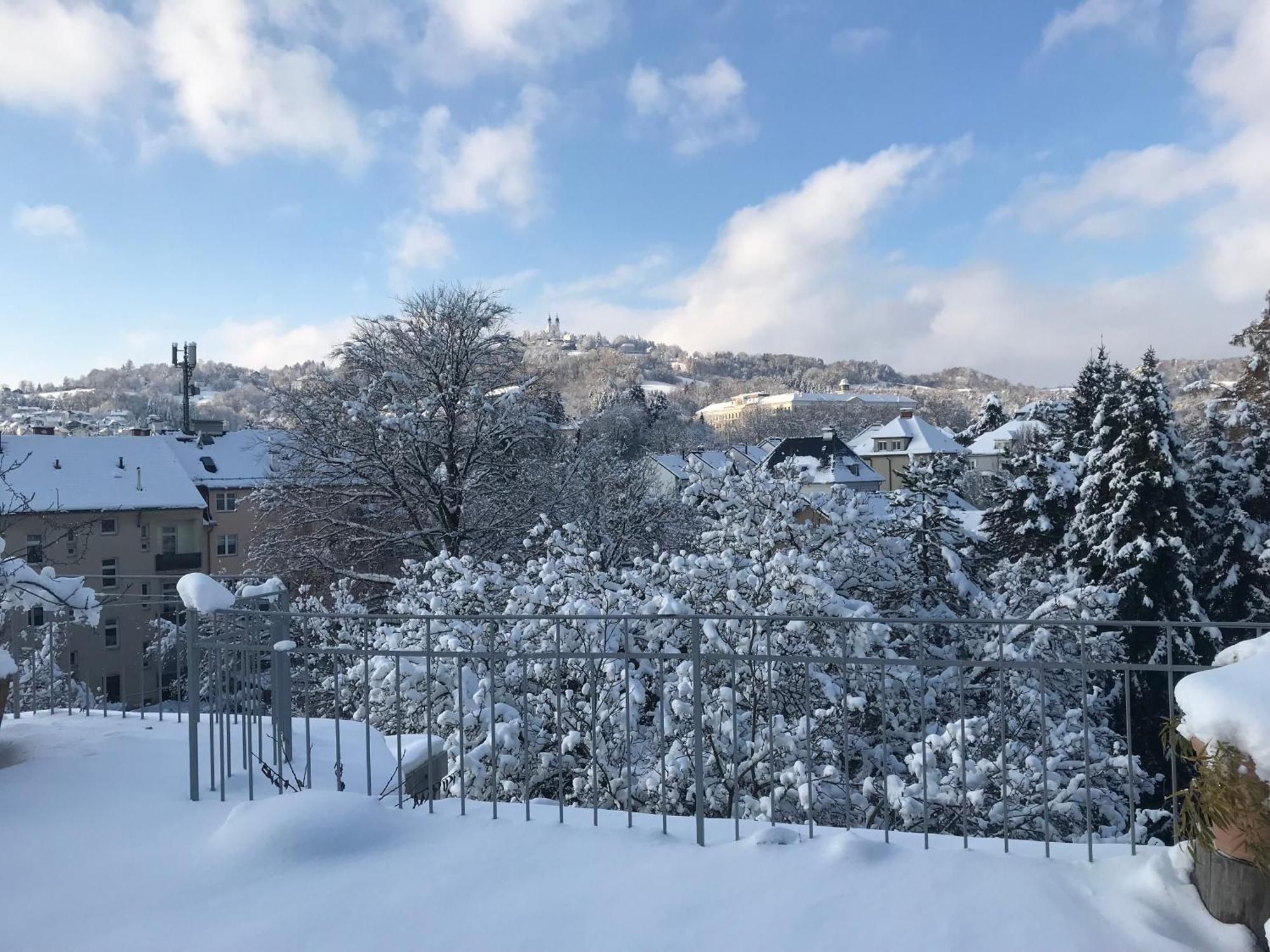 Stadtoase Mit Traumhaftem Ausblick リンツ エクステリア 写真
